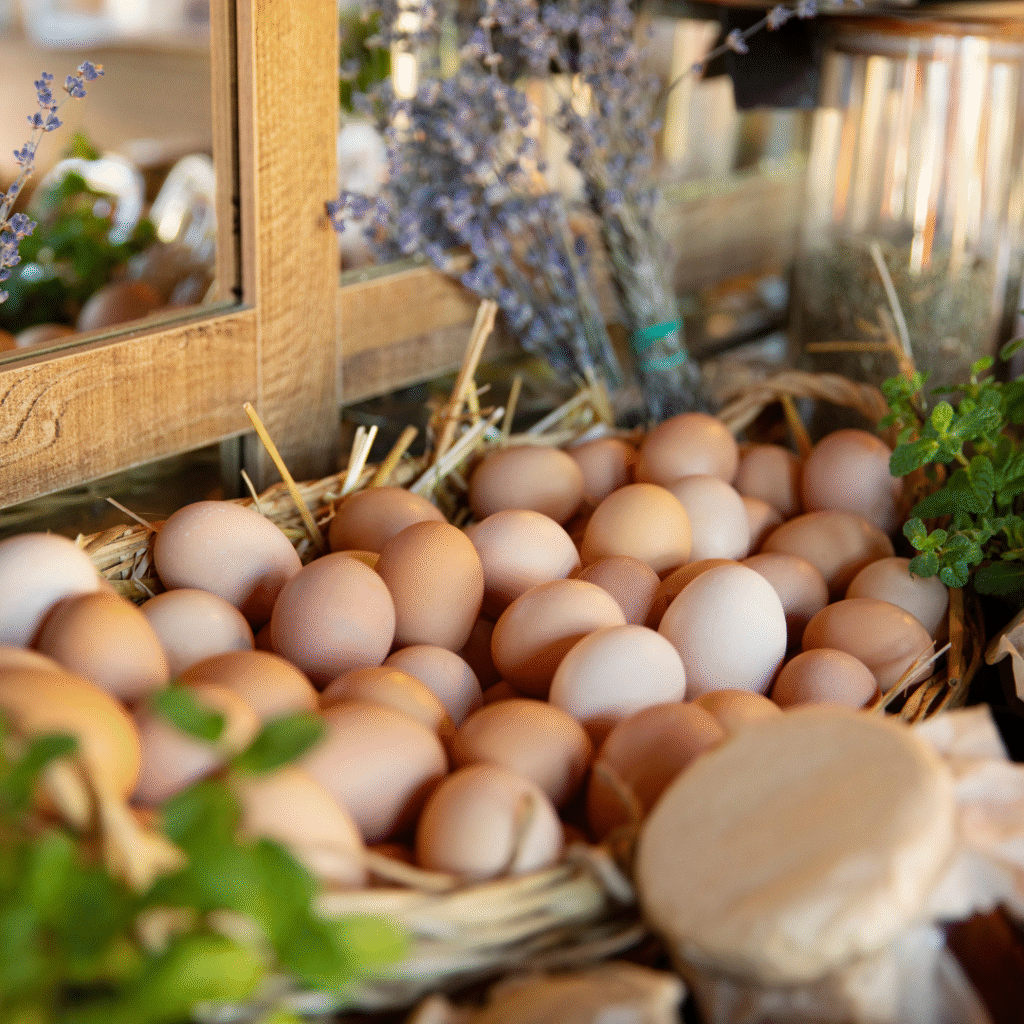 Farm-Fresh & Pasteurized Eggs